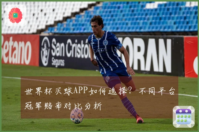世界杯买球APP如何选择？不同平台冠军赔率对比分析