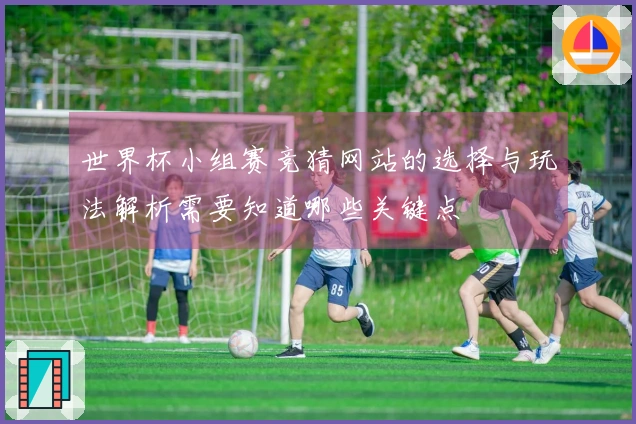 世界杯小组赛竞猜网站的选择与玩法解析需要知道哪些关键点