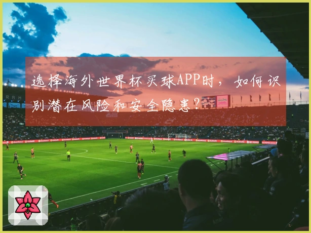 选择海外世界杯买球APP时，如何识别潜在风险和安全隐患？