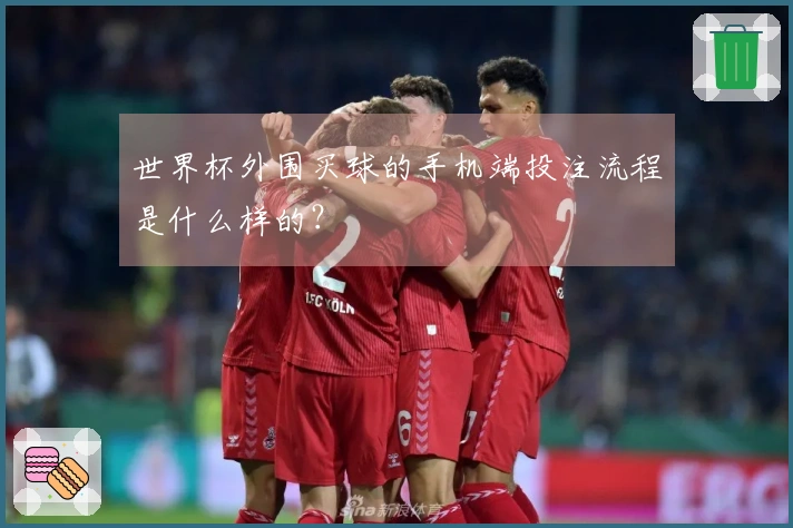 世界杯外围买球的手机端投注流程是什么样的？