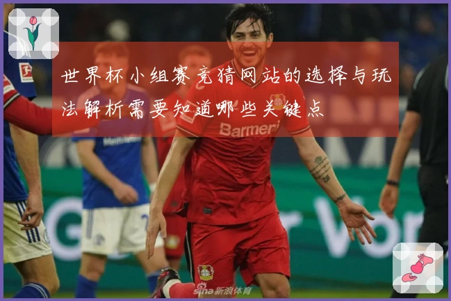 世界杯小组赛竞猜网站的选择与玩法解析需要知道哪些关键点